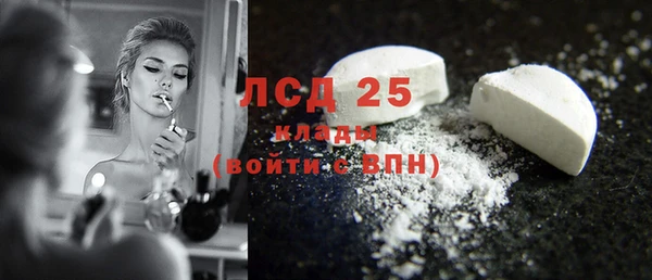 ПСИЛОЦИБИНОВЫЕ ГРИБЫ Инсар