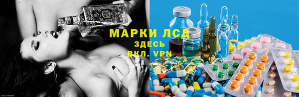 ПСИЛОЦИБИНОВЫЕ ГРИБЫ Инсар