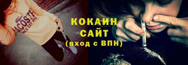 ПСИЛОЦИБИНОВЫЕ ГРИБЫ Инсар