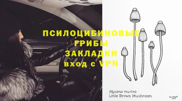 a pvp Инта