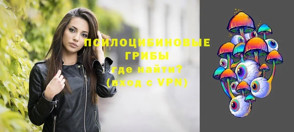эйфоретик Иннополис