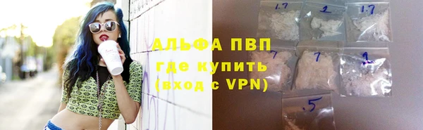 эйфоретик Иннополис