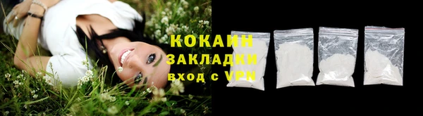 ПСИЛОЦИБИНОВЫЕ ГРИБЫ Инсар