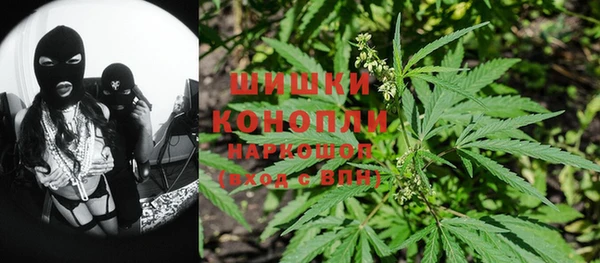 ПСИЛОЦИБИНОВЫЕ ГРИБЫ Инсар