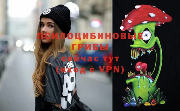 ПСИЛОЦИБИНОВЫЕ ГРИБЫ Инсар