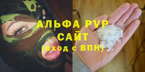 эйфоретик Иннополис