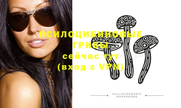 ПСИЛОЦИБИНОВЫЕ ГРИБЫ Инсар