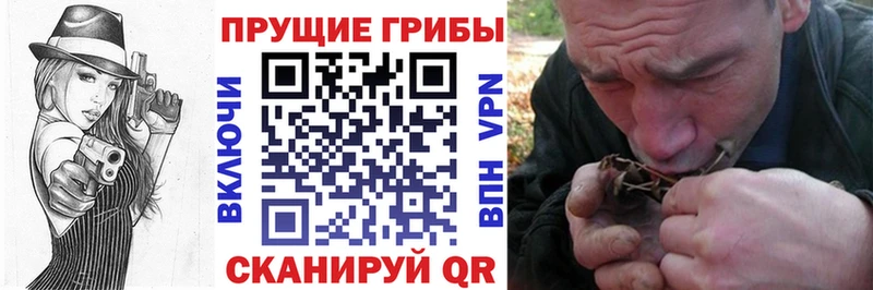 Галлюциногенные грибы Psilocybine cubensis  Купить закладки  Дрезна 